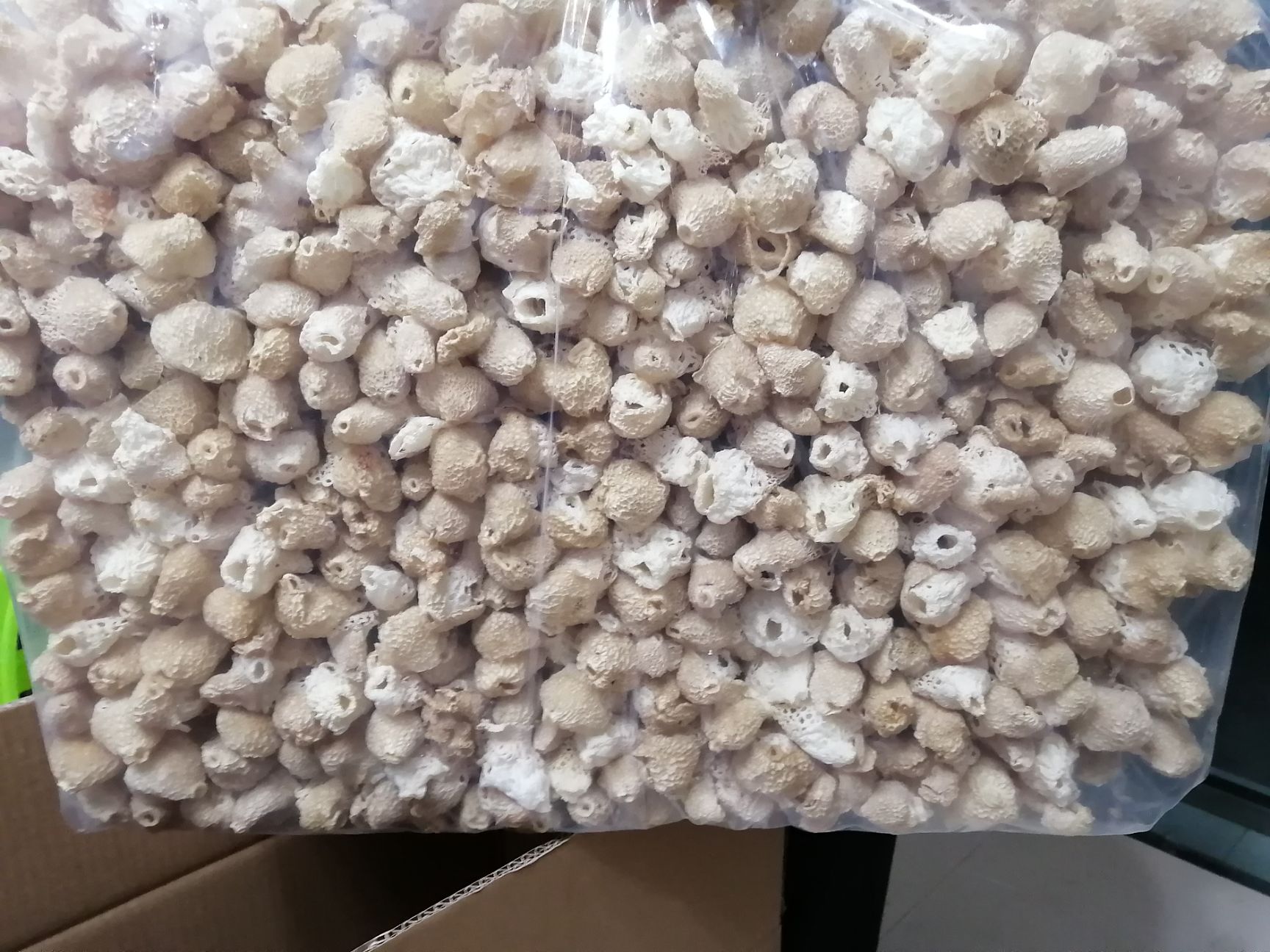 织金竹荪  贵州省织金县清香型红托竹荪产地价格供应