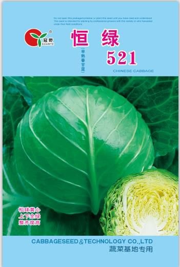 北京绿甘蓝种子  恒绿521