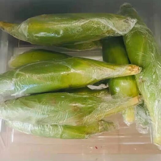  水果玉米全国供应货源稳定一件代发，坏了包赔