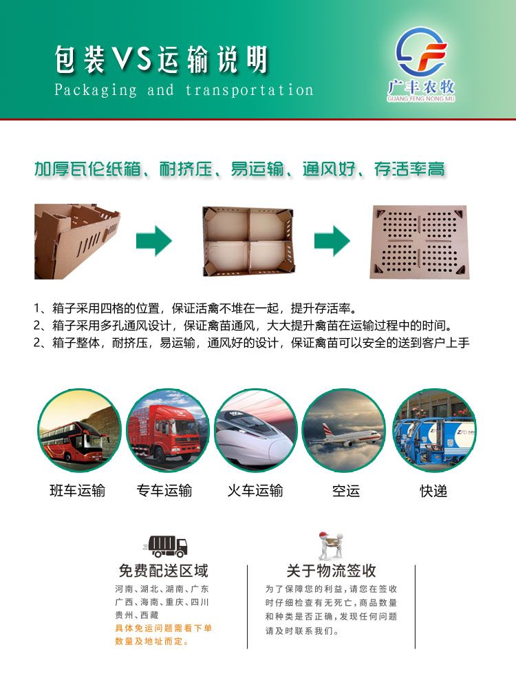 半番鸭苗  一点头鸭苗  木鸭苗 M18