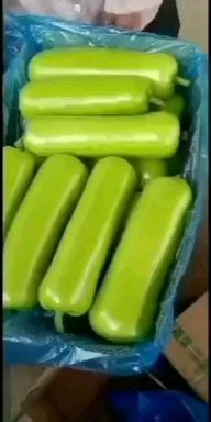 河南优质瓠瓜，规模种植，价格低。视频看货，线上保障交易。