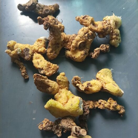 贵阳甜黄精  苦黄精