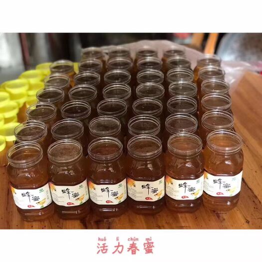 丰顺县土蜂蜜  春蜜冬蜜梅州八乡山高山蜂蜜