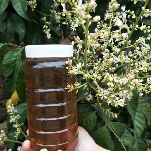高州市 自产自销农家纯蜂蜜