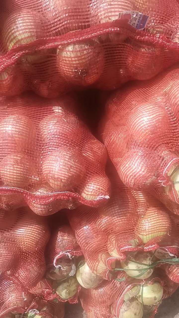 黄皮洋葱-基地直供，货源充足-保证