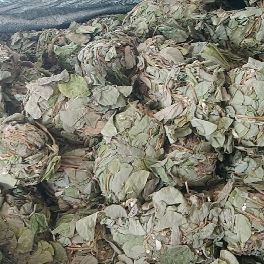 罗定市金钱草，货靓，质量好，小扎青绿