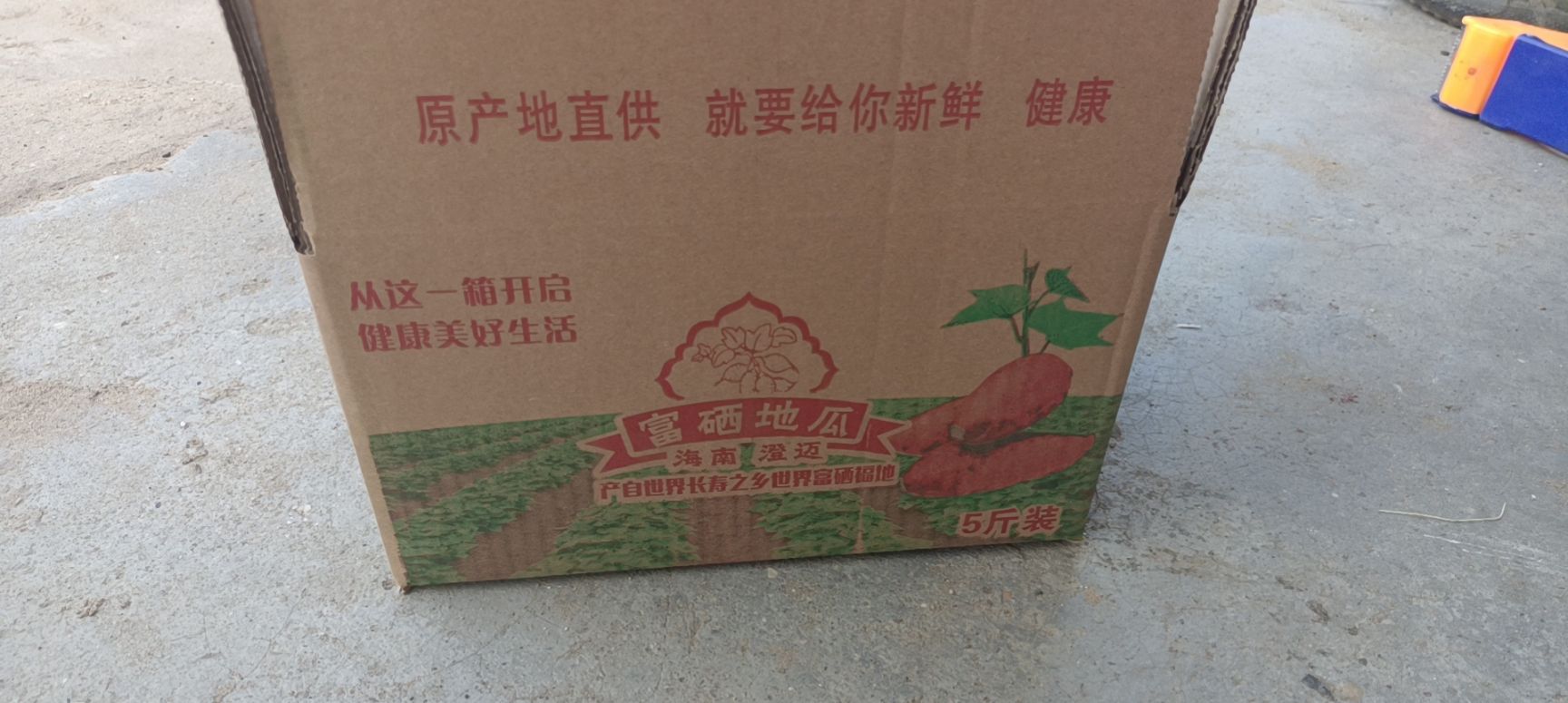 桥头地瓜小果10斤装包邮