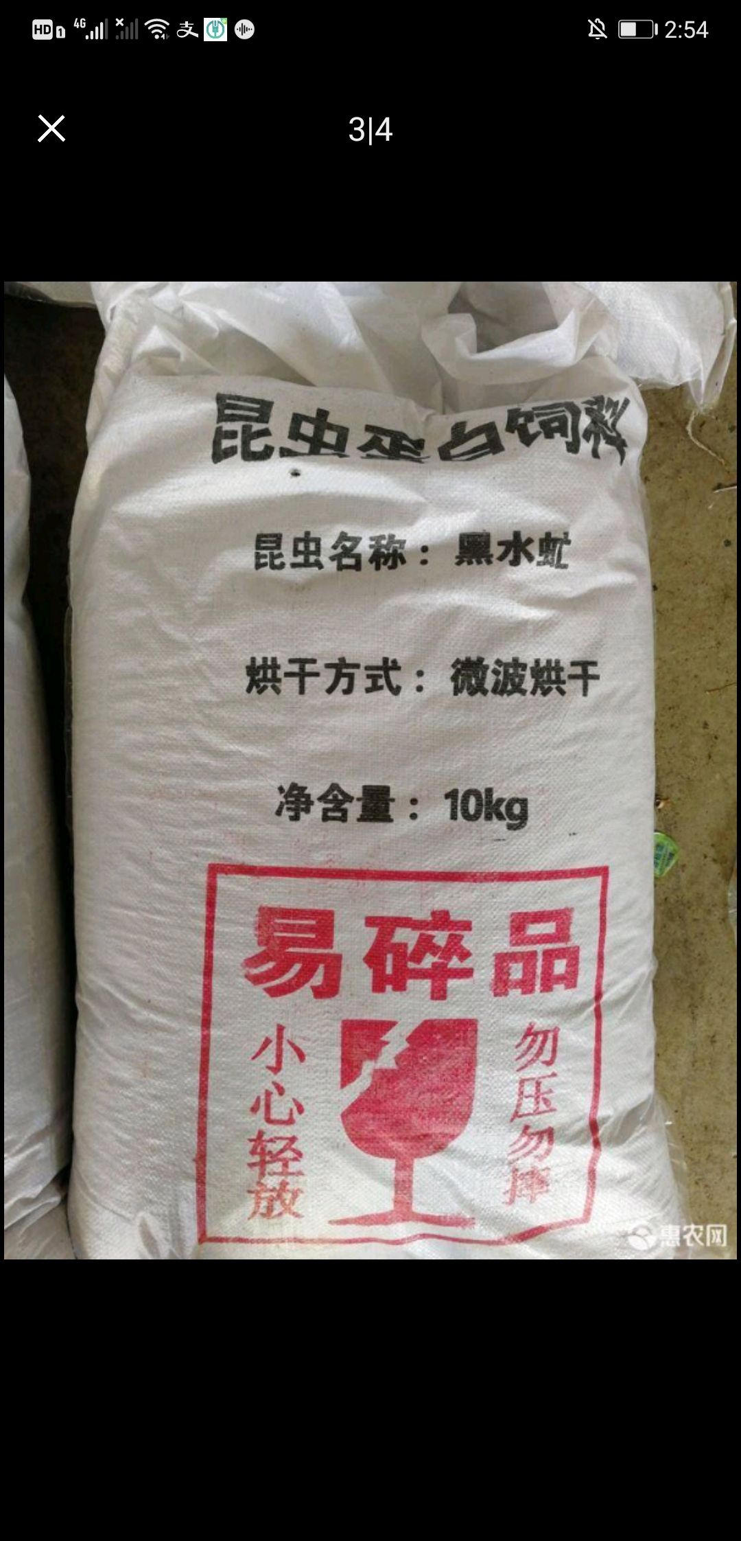 出售黑水虻虫卵，预订的优惠50元