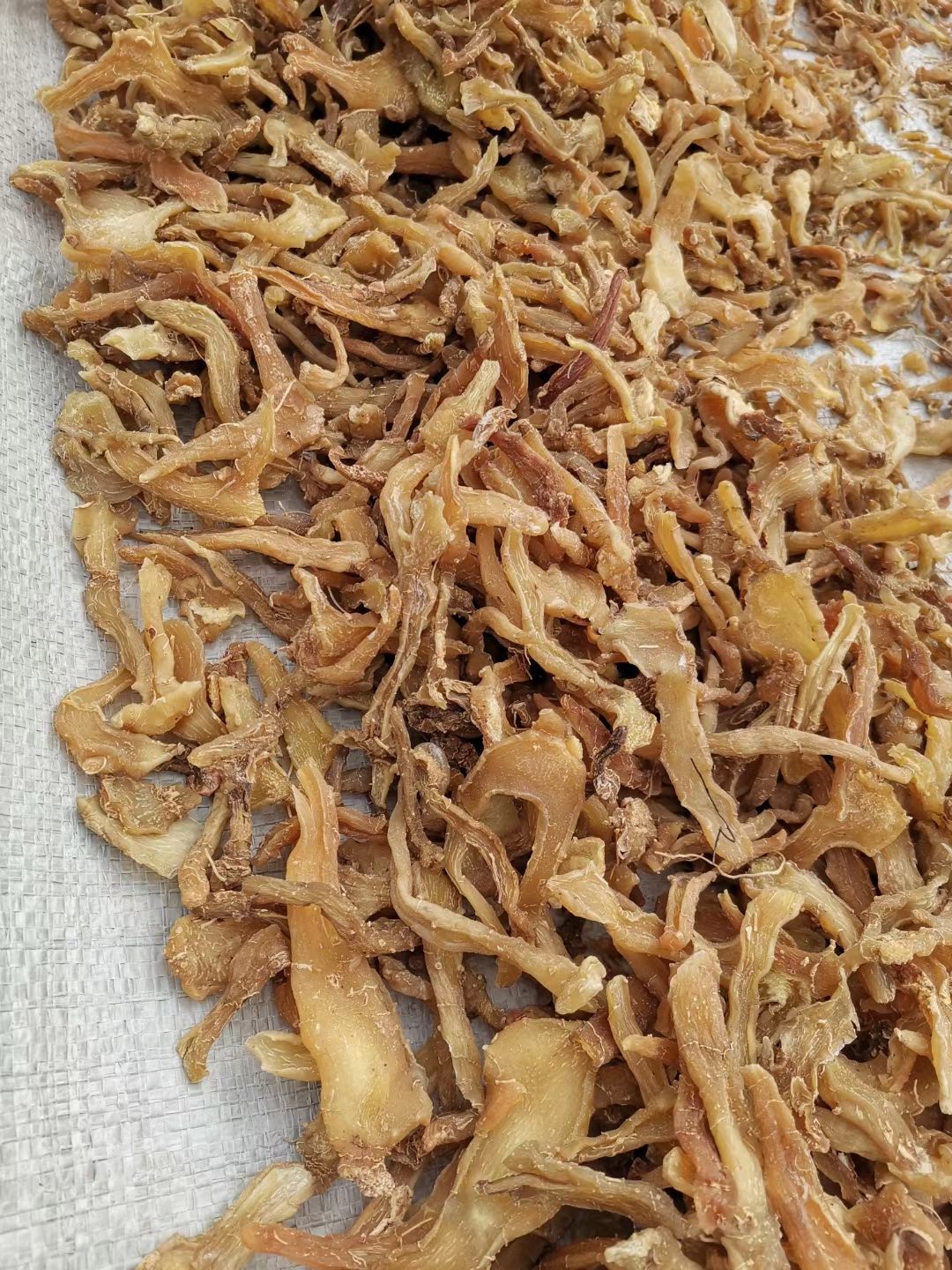 黄精片