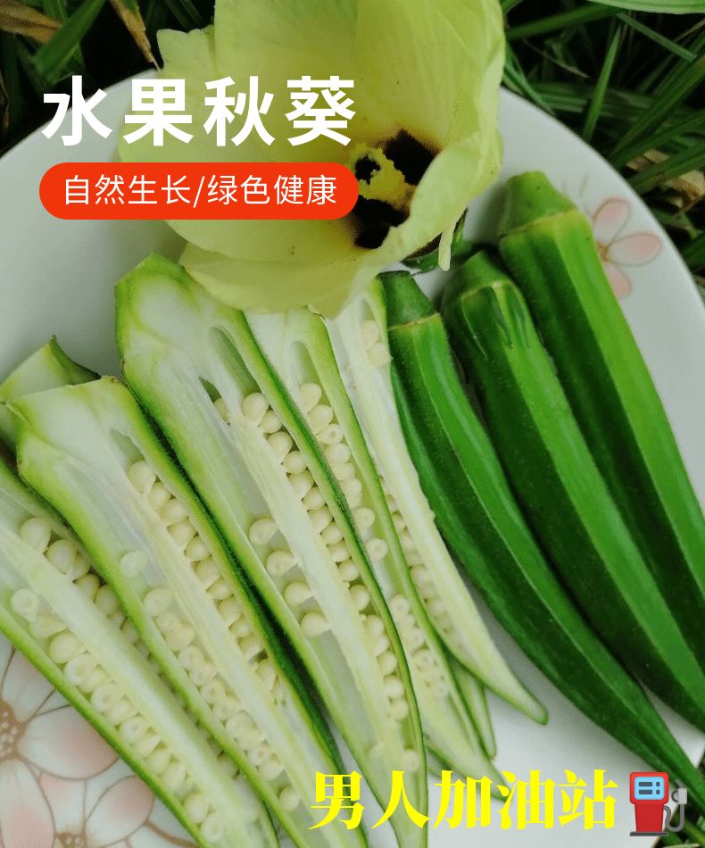 新鲜水果秋葵/黄秋葵/水果鲜嫩新鲜蔬菜批发