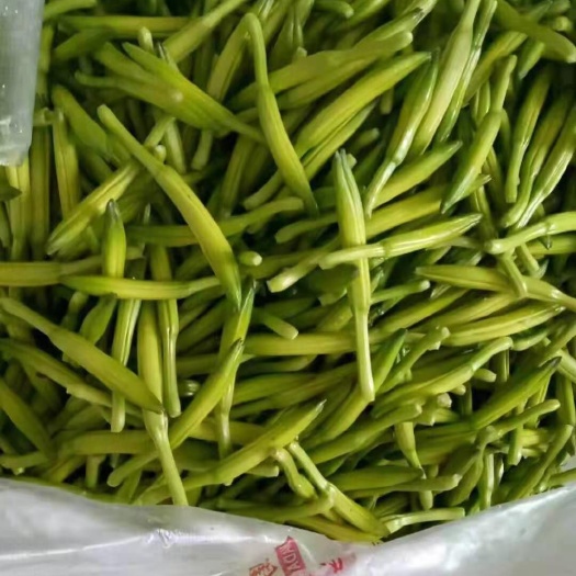 四月花  黄花菜
