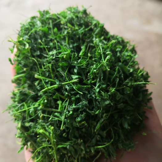 清远相思藤叶  相思藤茶，相思茶，量大从优