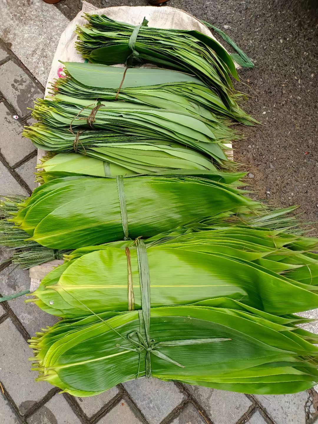 新鲜粽叶，粽子