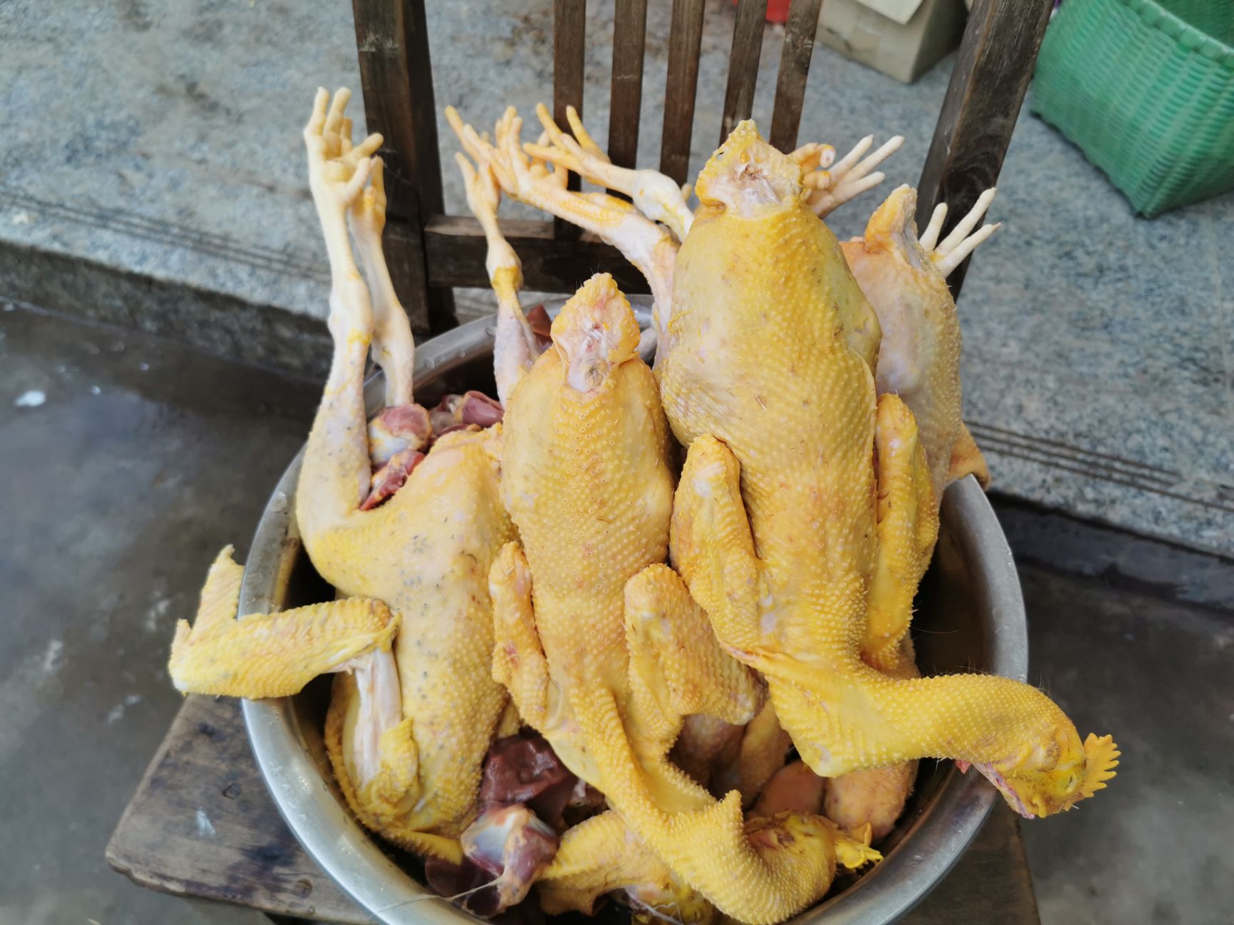土鸡 散养仔公鸡