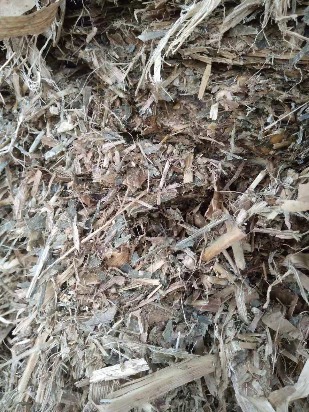  牛羊，玉米秸秆