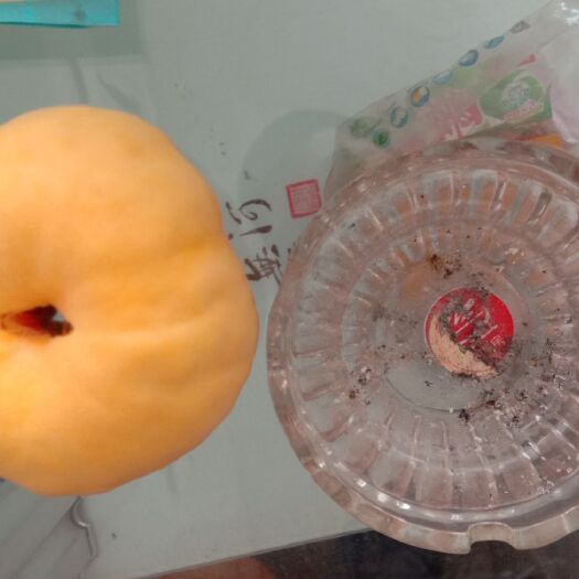 昌黎县 黄蟠桃