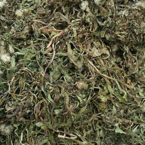 蒲公英根  蒲公英、现货：去年的、今年的都有。总计100吨