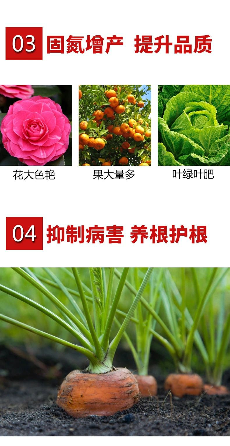 厂家直销 生物有机菌肥  微生物菌剂菌肥 果树蔬菜通用肥料