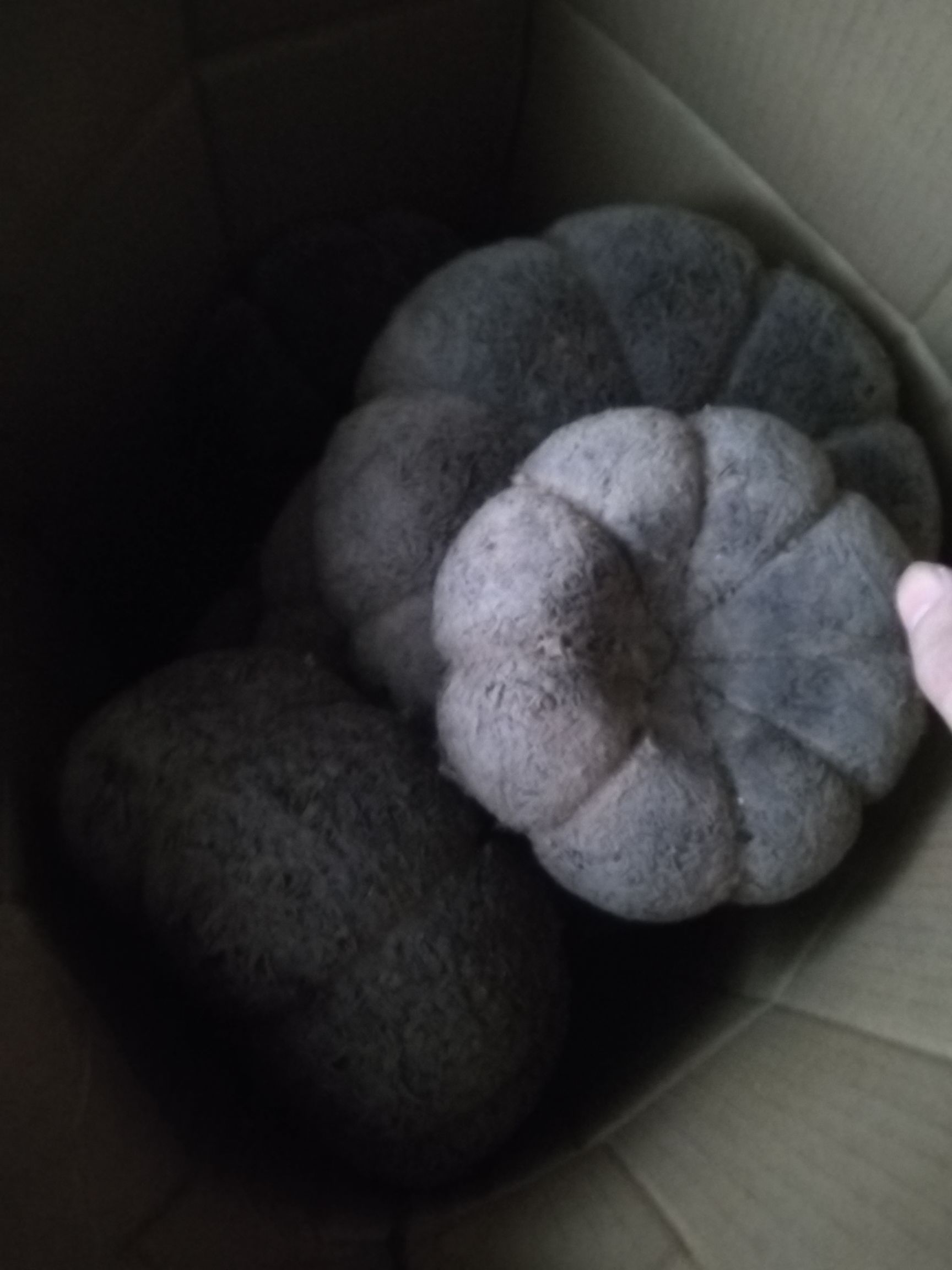 古树茶  十三年以上普洱陈茶