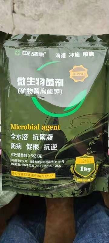 玉门市 酒泉地区大量供应矿物黄腐酸钾