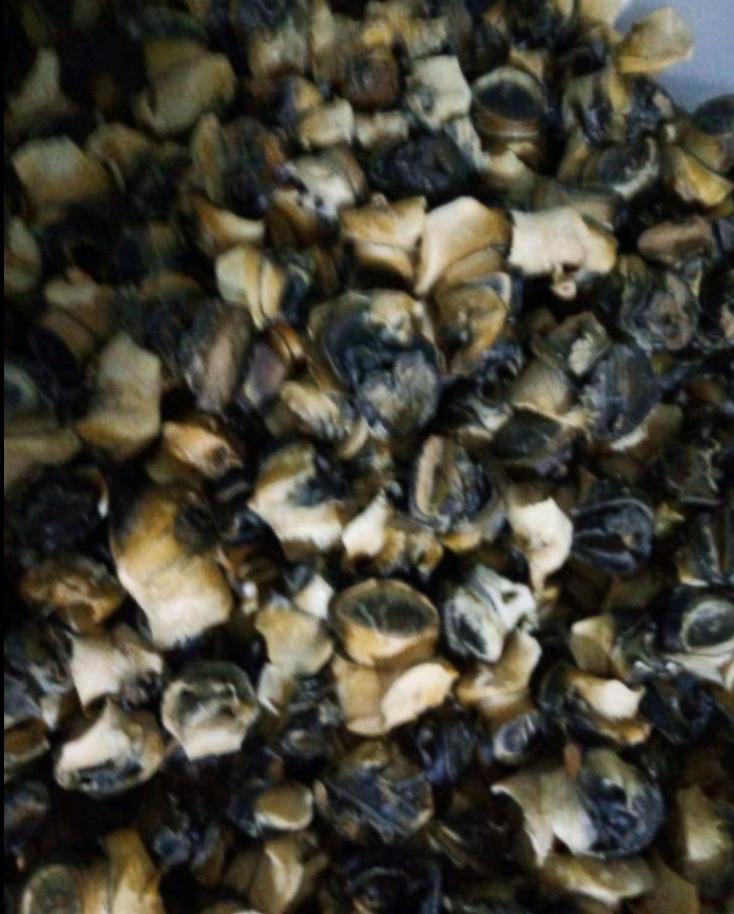 石螺肉 干净无杂物，新鲜