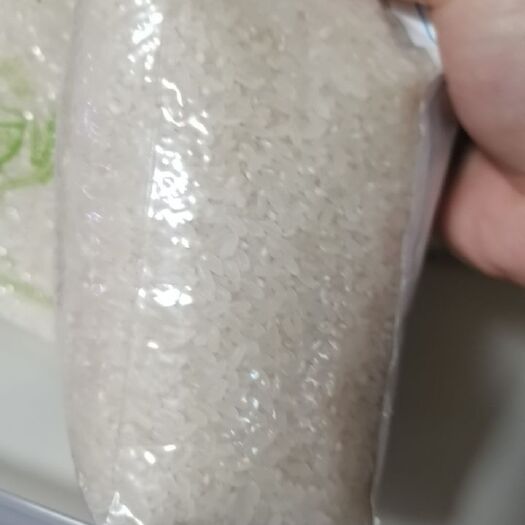甘南县粳米  北大荒集团查哈阳农场纯绥粳18黑龙江大米