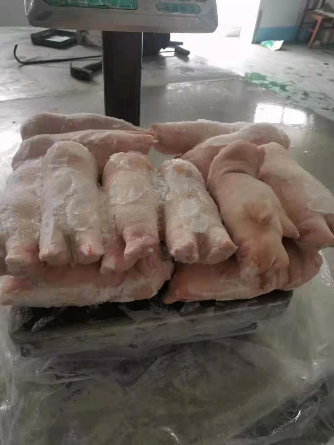 精品猪蹄批发