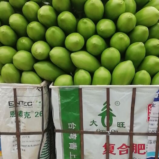 内黄县 青茄子量大质量好。