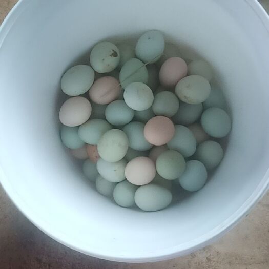 进贤县土鸡蛋 食用 散装 