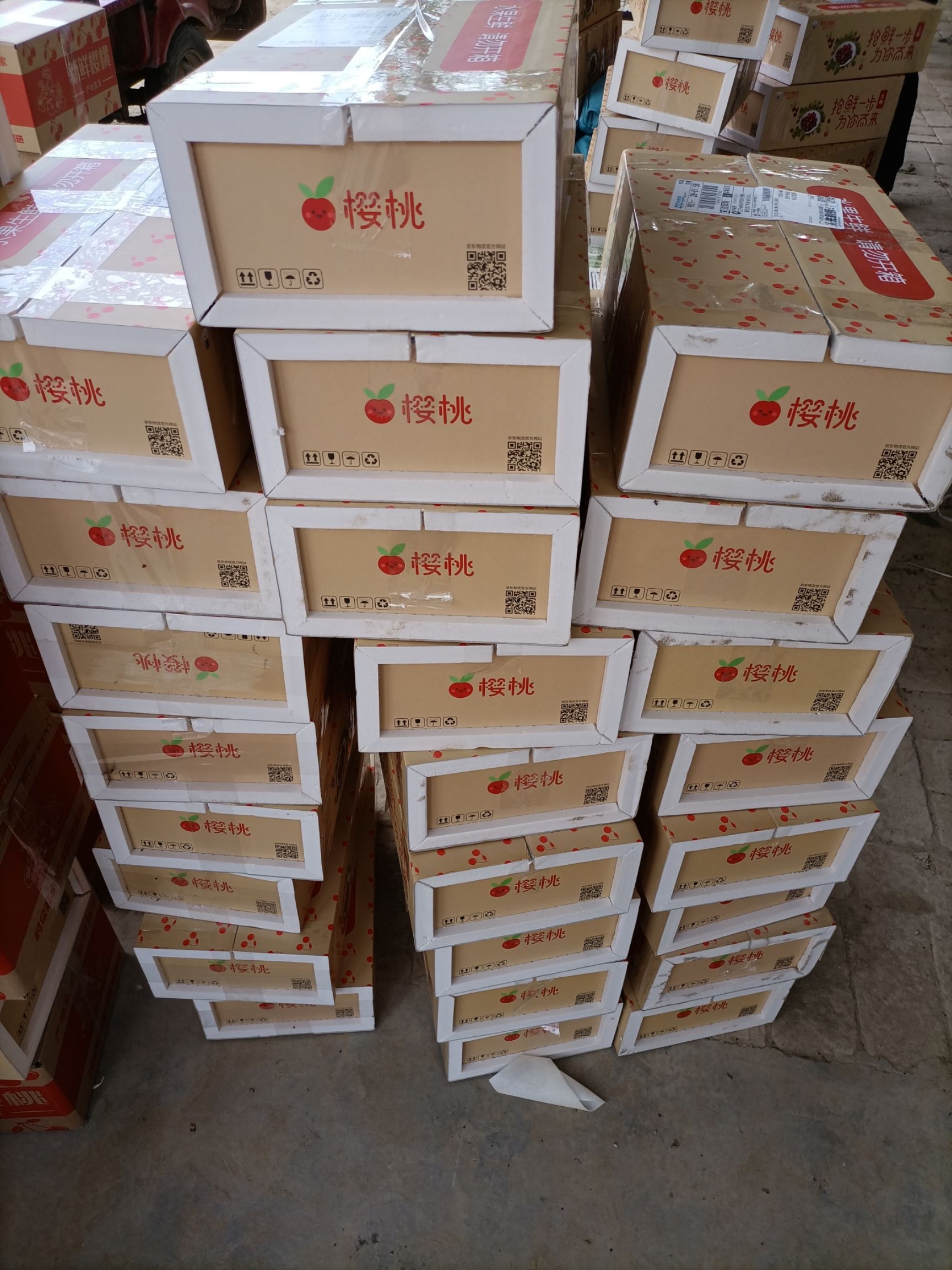 萨米脱樱桃  陕西澄城露天布鲁克斯大樱桃