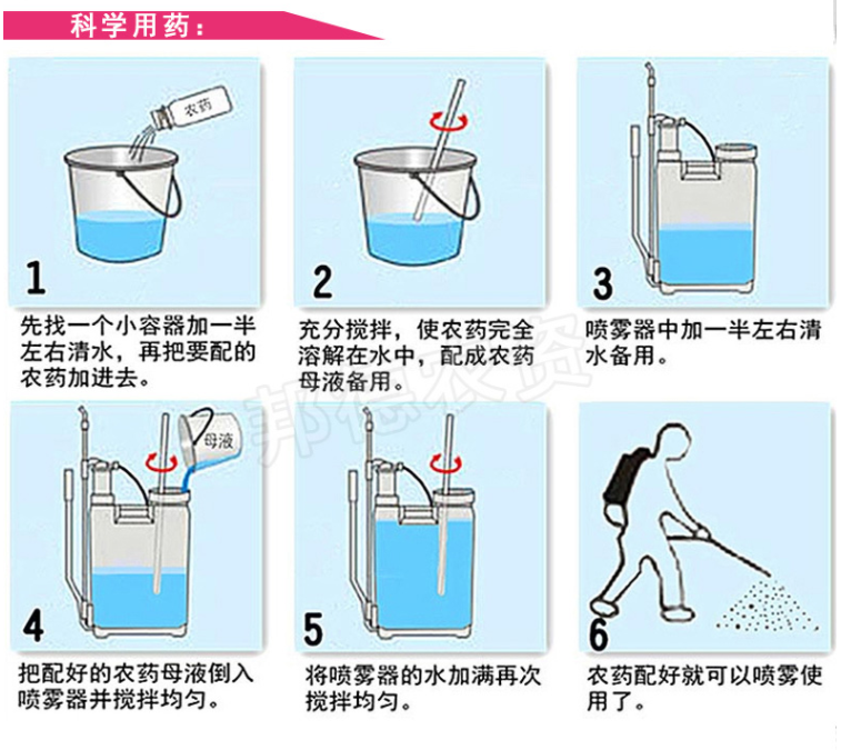 叶面肥 辣椒套餐，辣椒专用杀菌营养**调节提高品质 叶面喷施