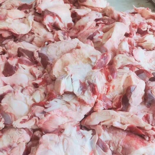 阳信县牛筋 牛窝骨筋，纯干窝骨筋