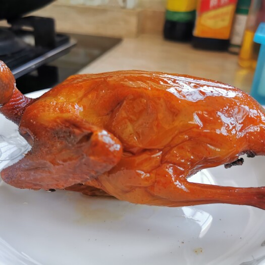 柳城县卤鸽  脆皮乳鸽半成品，生腌玻璃脆皮乳鸽，酒店农庄。量大从优