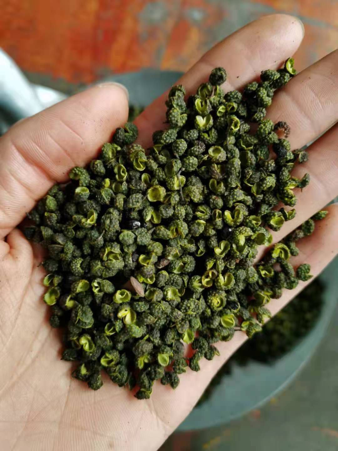 青花椒     云南青花椒     金阳青花椒