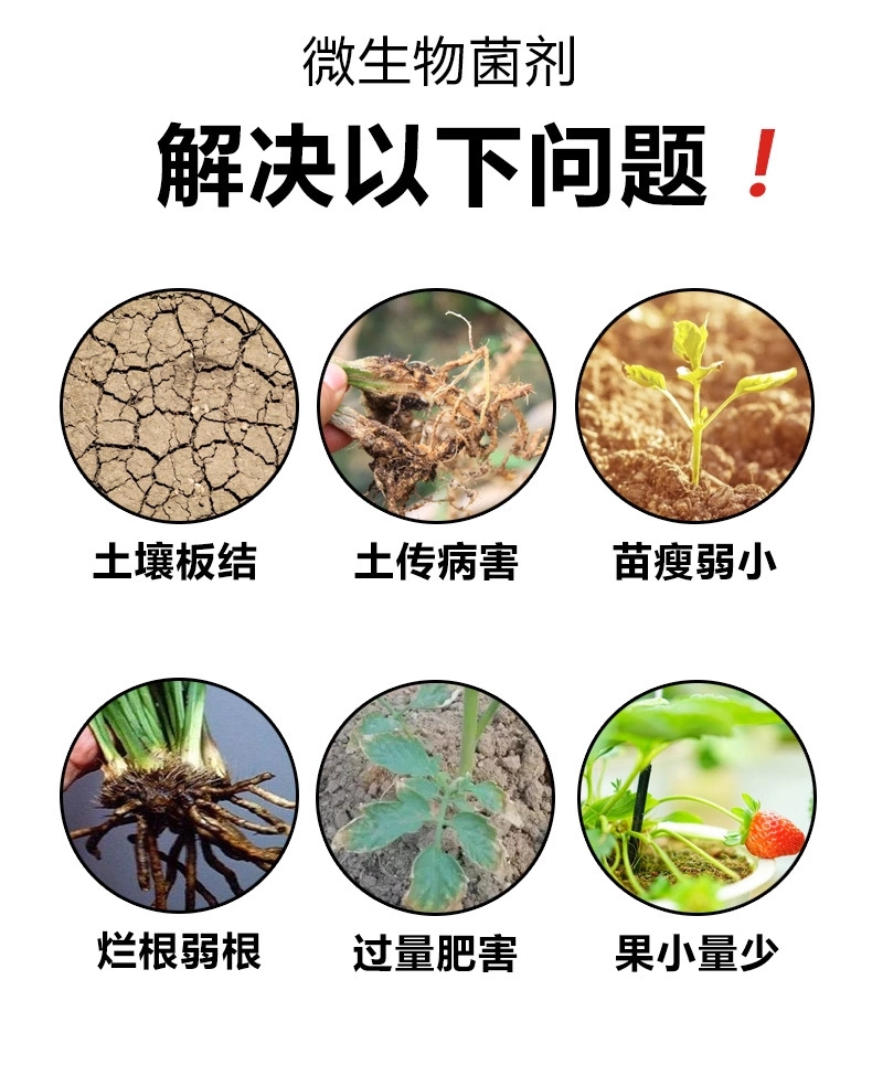厂家直销 生物有机菌肥  微生物菌剂菌肥 果树蔬菜通用肥料