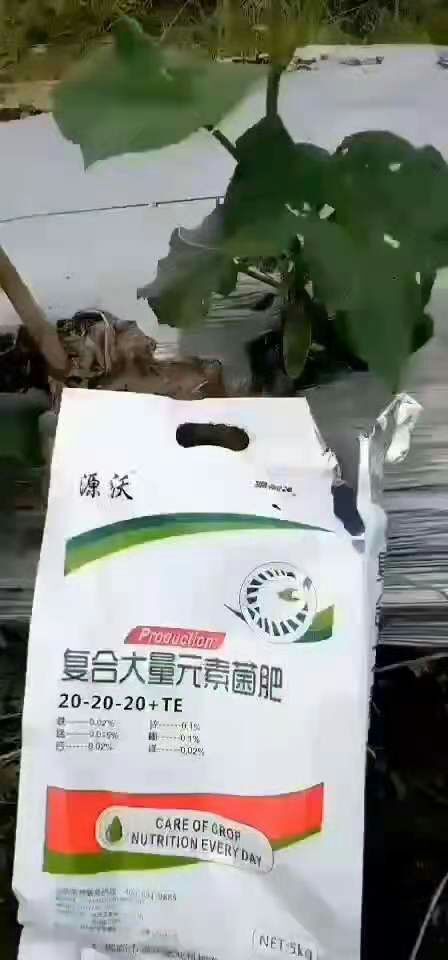 邯郸大量元素肥料  复合大量元素菌肥，水溶肥。大量元素菌肥全水溶肥料