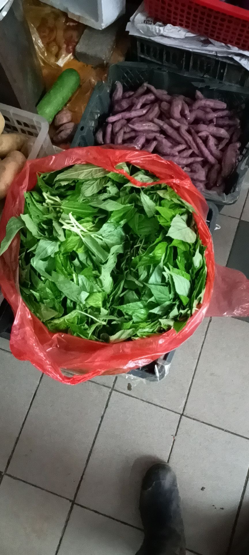 麻叶菜  本人在海南种有大量…潮汕麻叶。