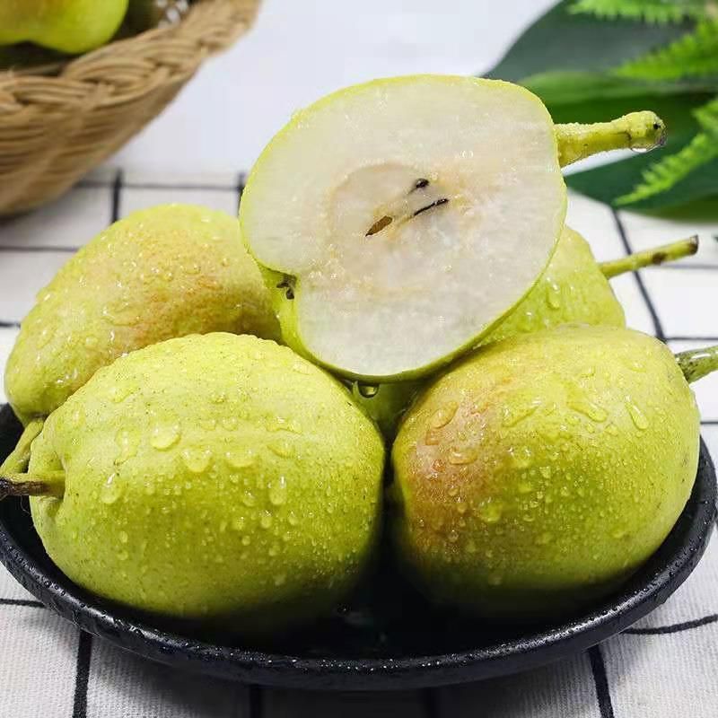 红香酥梨梨子批发香梨10斤薄皮应季时令水果新鲜脆甜皮薄梨子