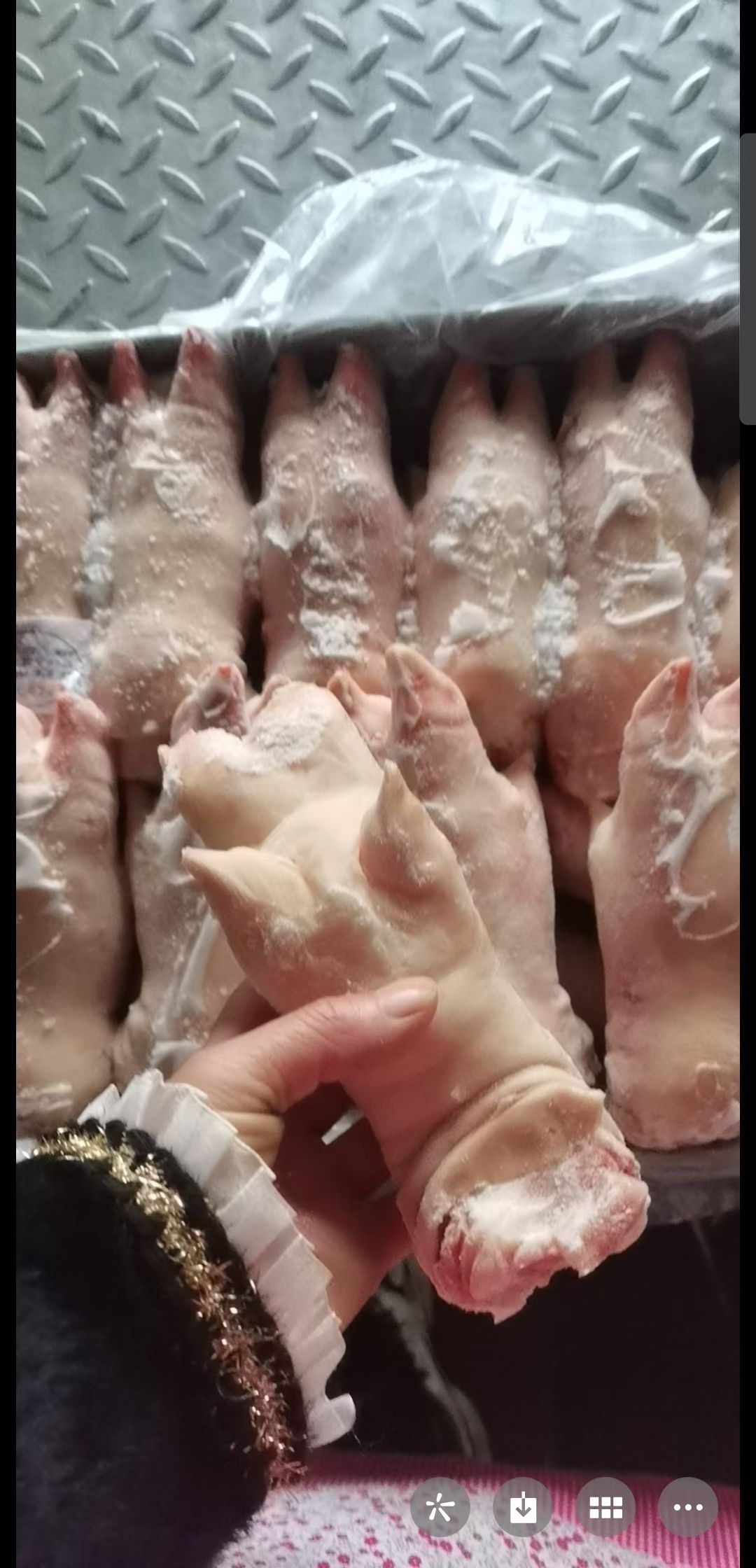 精品猪蹄批发