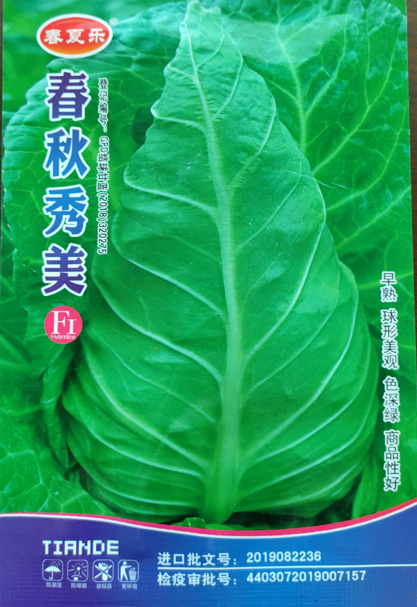 甘蓝种子牛心甘蓝种子牛心白种子鸡心白种子尖顶甘蓝种子春秋越冬
