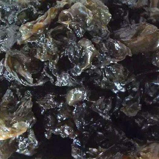 内乡县常年大量批发机器筛选，易水洗地皮菜，身干无杂，一斤可泡十斤