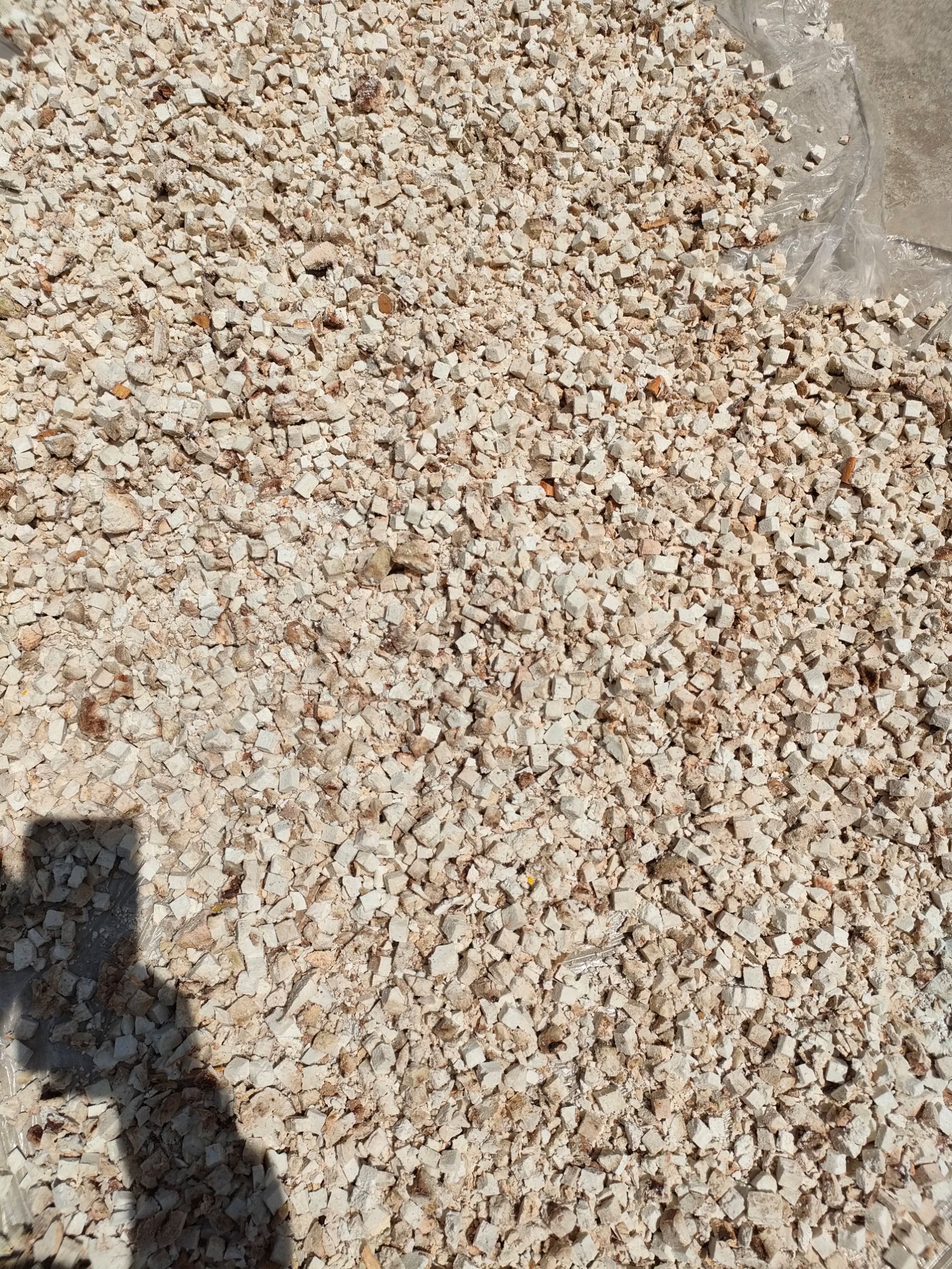 茯神  茯苓    ，，，，，，，，，，，