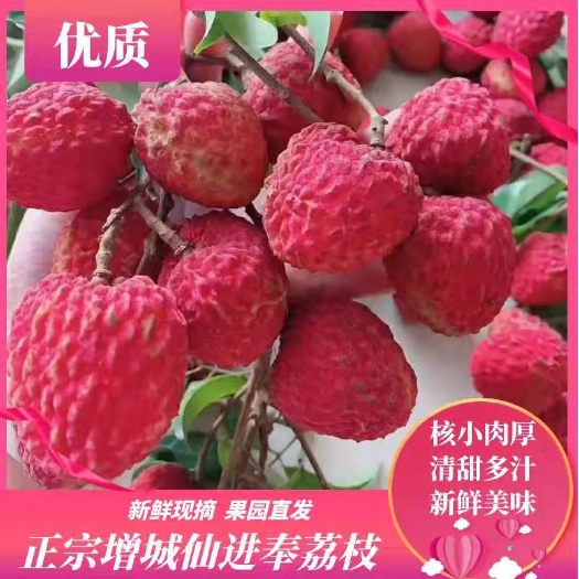 广州仙进奉荔枝  荔枝  增城 清甜多汁新鲜现摘 原产地直发