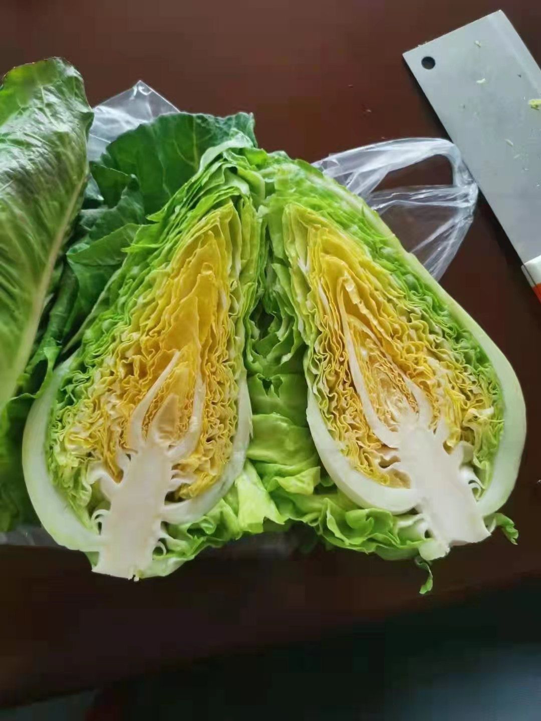 甘蓝种子牛心甘蓝种子牛心白种子鸡心白种子尖顶甘蓝种子春秋越冬
