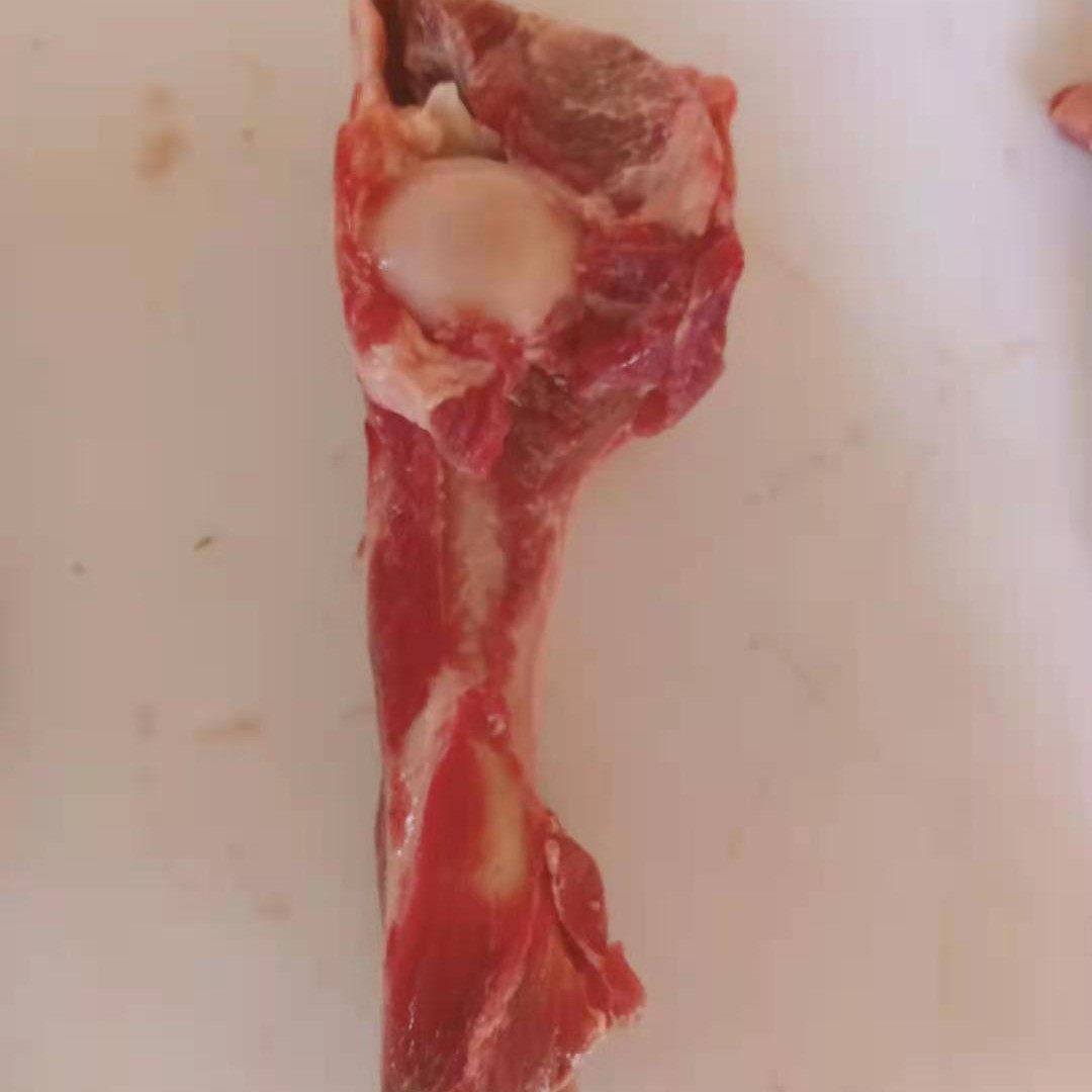 羊骨  羊棒骨 满肉的后腿骨