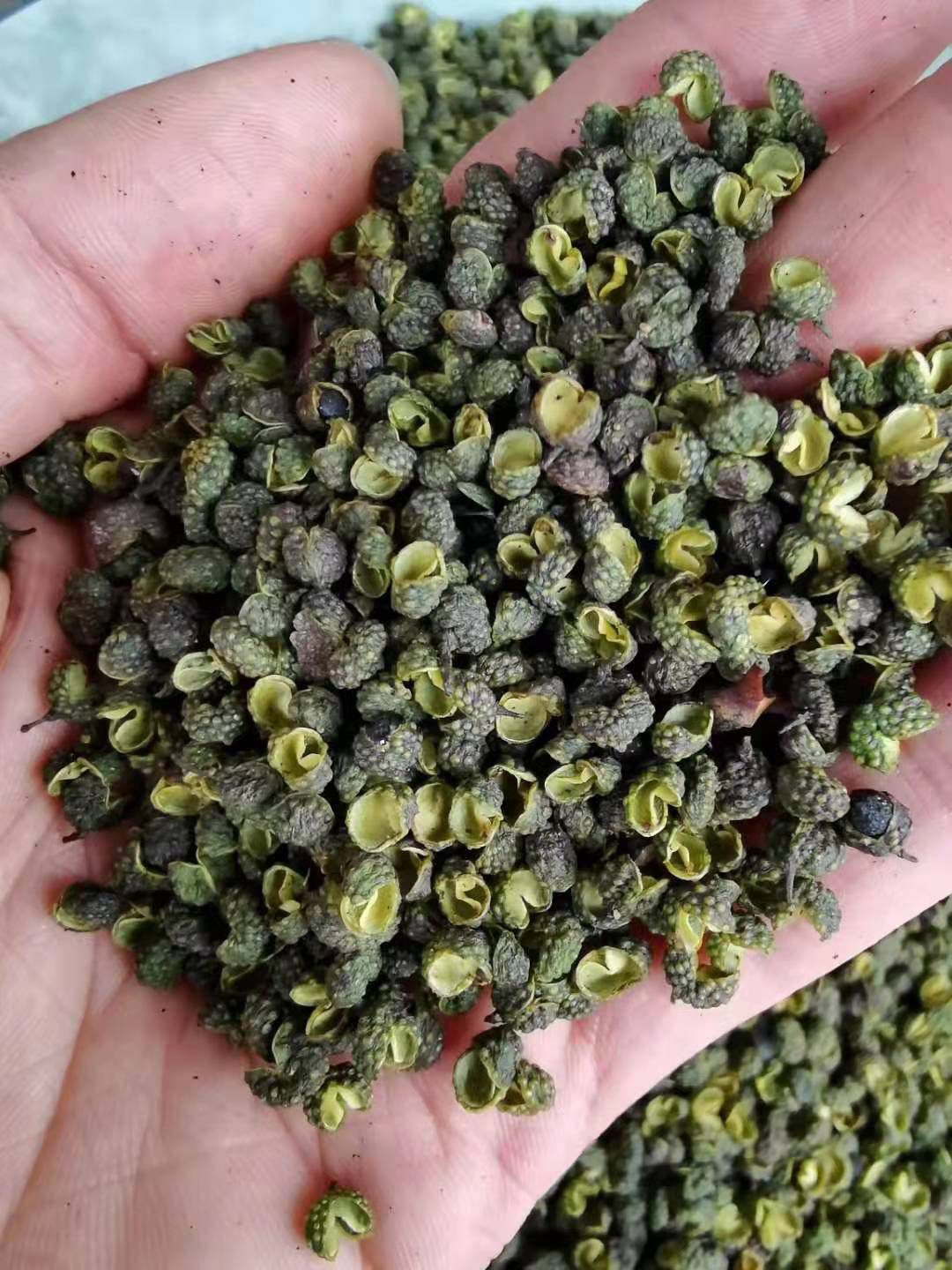 青花椒     云南青花椒     金阳青花椒
