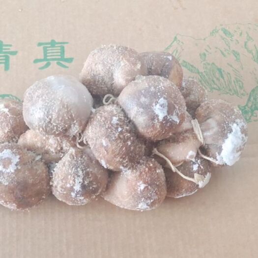 阳信县羊肚 