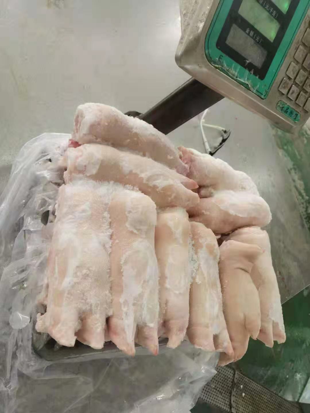 精品猪蹄批发