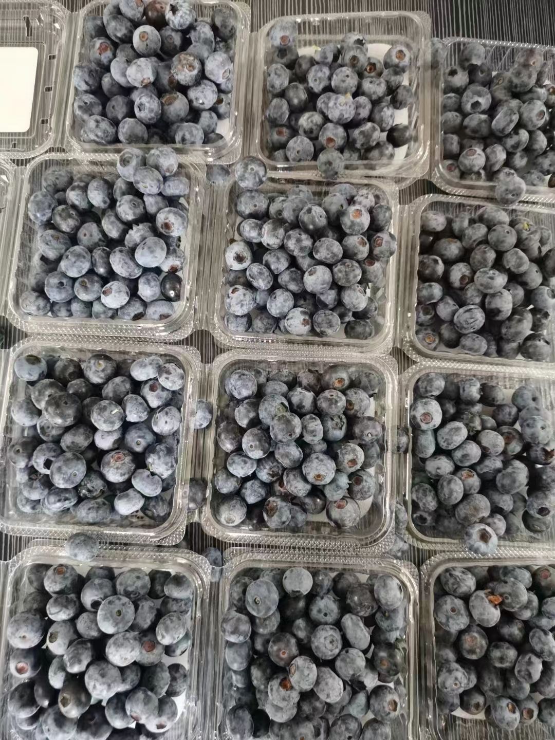 云南现货蓝莓鲜果现摘新鲜时令水果超甜水果店批发顺丰空运包邮