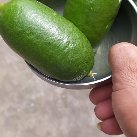 厦门香水柠檬  香水拧檬